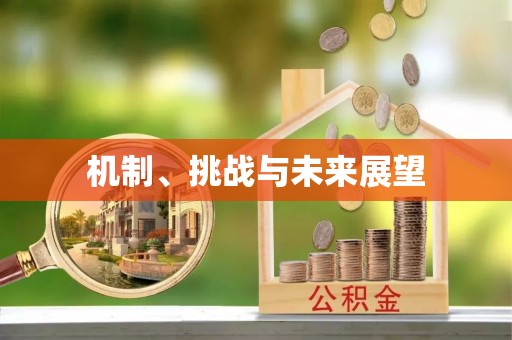 呼和浩特机制、挑战与未来展望